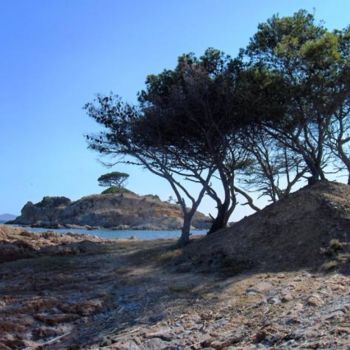 "entre ciel et mer" başlıklı Fotoğraf Paule-Andree Maraval tarafından, Orijinal sanat