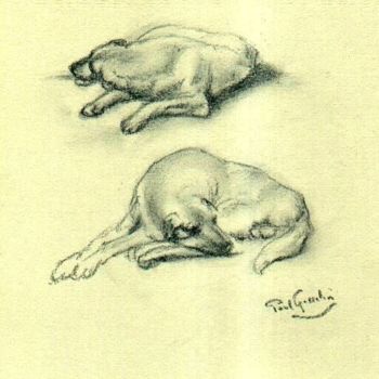 Desenho intitulada "Labrador" por Paul Gosselin, Obras de arte originais, Outro