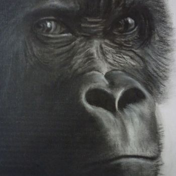 Drawing titled "The Stare" by Paul Horton, Original Artwork, Other