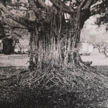 Fotografie mit dem Titel "Roots" von Pauline Clukker, Original-Kunstwerk, Analog Fotografie