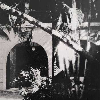 Fotografia intitolato "Luz tropical" da Pauline Clukker, Opera d'arte originale, fotografia a pellicola