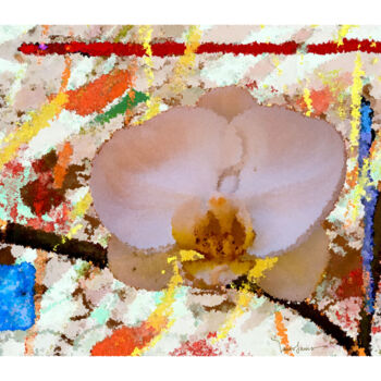 Digital Arts titled "orquídea e quadrado…" by Paulo Celso Marcondes De Salles, Original Artwork, Digital Painting