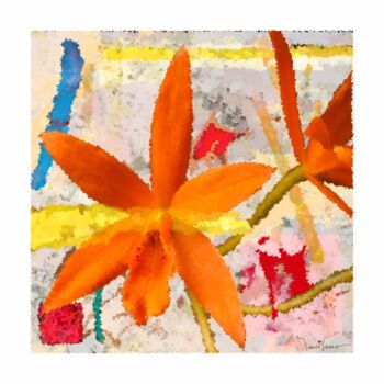 数字艺术 标题为“orquídea na laranja” 由Paulo Celso Marcondes De Salles, 原创艺术品, 数字油画