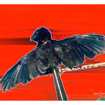 Arte digitale intitolato "blackbird me respon…" da Paulo Celso Marcondes De Salles, Opera d'arte originale, Pittura digitale