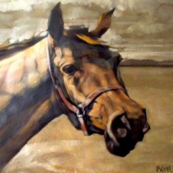Painting titled "brown the horse" by Paulus Hoffman, Original Artwork, Oil