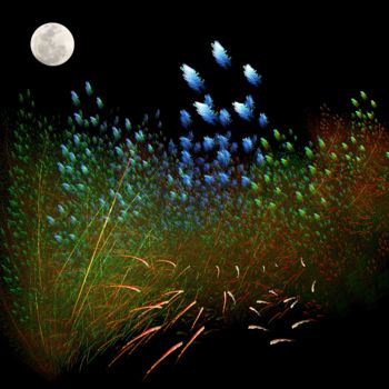 Digital Arts titled "-140308-5-lune-haut…" by Le Sage Coyote, Original Artwork, 2D Digital Work