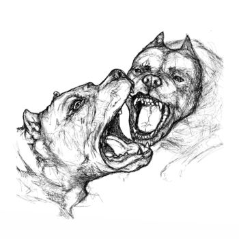 Tekening getiteld "pitbull-attack." door Dmitry Payvin, Origineel Kunstwerk, Balpen