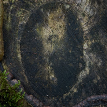 Fotografía titulada "Femme au miroir" por Pierre Boillon, Obra de arte original, Fotografía digital Montado en Aluminio