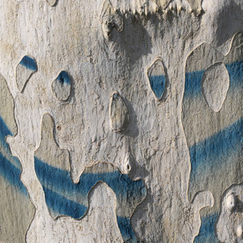 Photographie intitulée "Visage bleu" par Pierre Boillon, Œuvre d'art originale, Photographie numérique Monté sur Aluminium