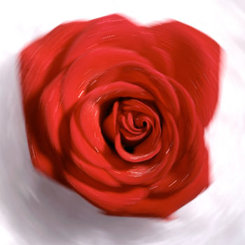 Photography titled "Rose tournoyante" by Pierre Boillon, Original Artwork, Digital Photography