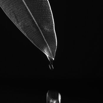 Photographie intitulée "Goutte d'eau sur fe…" par Pierre Boillon, Œuvre d'art originale, Photographie numérique