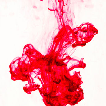 Photographie intitulée "Flamenco" par Pierre Boillon, Œuvre d'art originale, Photographie numérique Monté sur Plexiglas