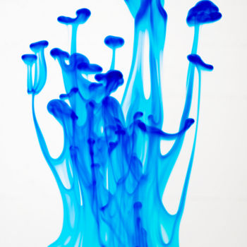 Fotografía titulada "Méduses bleues" por Pierre Boillon, Obra de arte original, Fotografía digital
