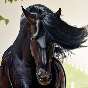 Peinture intitulée "Black Horse Aramis" par Peda Radovanovic, Œuvre d'art originale, Huile Monté sur Châssis en bois