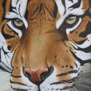 Peinture intitulée "Tiger Khan II" par Peda Radovanovic, Œuvre d'art originale, Huile