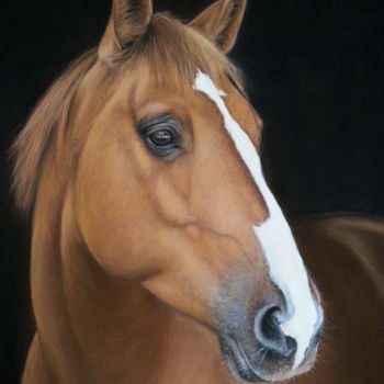Peinture intitulée "Portrait de cheval" par Cathy Cheneau, Œuvre d'art originale, Pastel