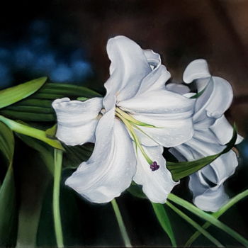 Painting titled "Lys blanc" by Cathy Cheneau, Original Artwork, Pastel