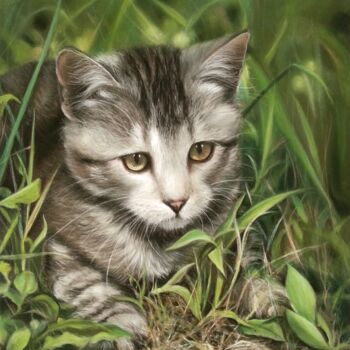 Pintura intitulada "Chat en chasse" por Cathy Cheneau, Obras de arte originais, Pastel