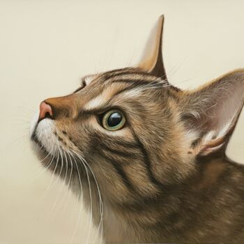 Peinture intitulée "Portrait de chat" par Cathy Cheneau, Œuvre d'art originale, Pastel