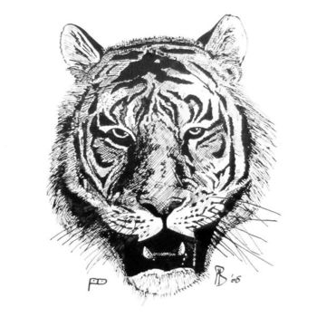 Drawing titled "Tiger's head" by Davo, Original Artwork