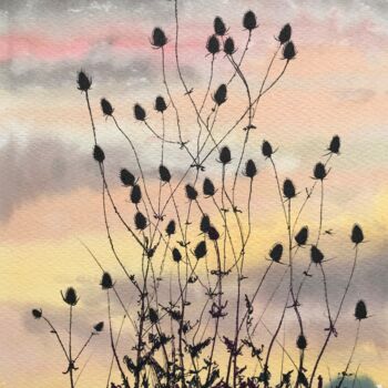 Painting titled "Teasels" by Peter Blake, Original Artwork, Watercolor