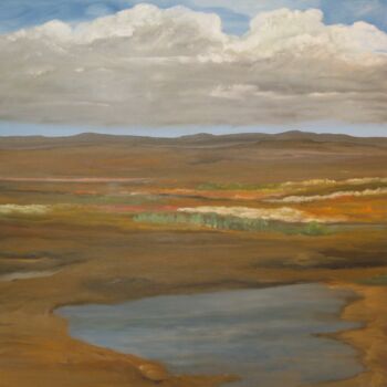 Ζωγραφική με τίτλο "Painted-Desert" από Peter Stutz, Αυθεντικά έργα τέχνης, Λάδι