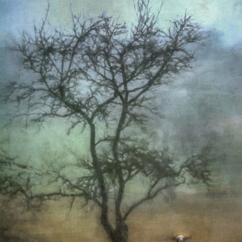 Fotografie mit dem Titel "Pastoral.jpg" von Petra Urbanovic, Original-Kunstwerk, Manipulierte Fotografie