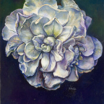 Pintura intitulada "Chrysanthenum" por Philipp Pahin, Obras de arte originais, Óleo Montado em Cartão