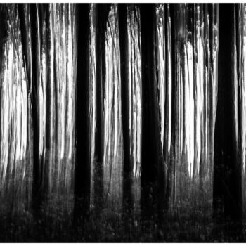 Fotografia intitolato "Wald, Österreich" da Philipp Schweighofer, Opera d'arte originale, Fotografia digitale