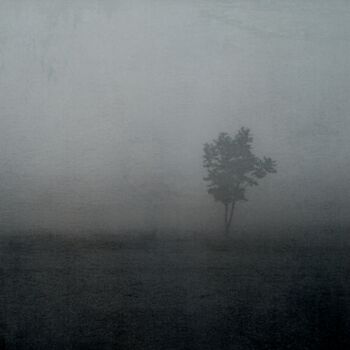 Fotografia zatytułowany „alone.........” autorstwa Philippe Berthier, Oryginalna praca, Fotografia cyfrowa