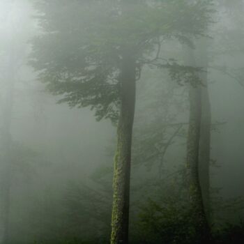 Photographie intitulée "Quand la brume fut…" par Philippe Berthier, Œuvre d'art originale, Photographie numérique