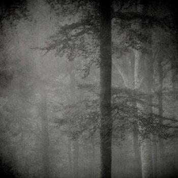 Photography titled "Une Visitation...." by Philippe Berthier, Original Artwork, Digital Photography