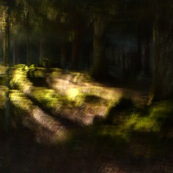 Photographie intitulée "The Forest....." par Philippe Berthier, Œuvre d'art originale, Photographie numérique