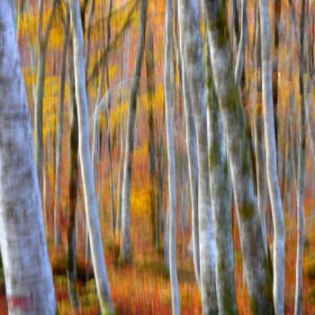 Photographie intitulée "Couleurs....." par Philippe Berthier, Œuvre d'art originale, Photographie numérique