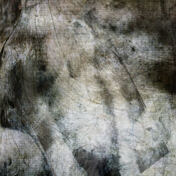 Arte digitale intitolato "L'arbre Femme....." da Philippe Berthier, Opera d'arte originale, Fotomontaggio