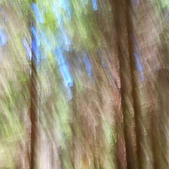 Fotografía titulada "Une Pluie de Couleu…" por Philippe Berthier, Obra de arte original, Fotografía digital