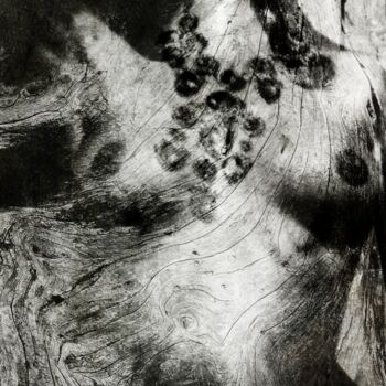 Photography titled "Le Collier de la Re…" by Philippe Berthier, Original Artwork, Manipulated Photography