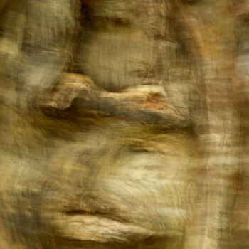 Fotografía titulada "Tronc d'arbre....." por Philippe Berthier, Obra de arte original, Fotografía digital