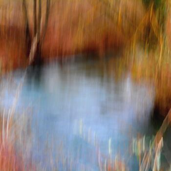 Photographie intitulée "Un coin d'eau...." par Philippe Berthier, Œuvre d'art originale, Photographie numérique