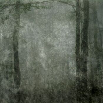Photography titled "Les jardins du Roi.…" by Philippe Berthier, Original Artwork, Manipulated Photography