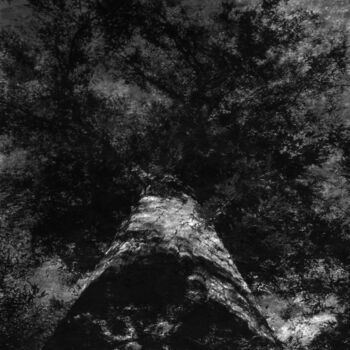 Photographie intitulée "L'envol de l'Arbre.…" par Philippe Berthier, Œuvre d'art originale, Photographie numérique