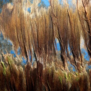 Photographie intitulée "Algues sèchées.....…" par Philippe Berthier, Œuvre d'art originale, Photographie numérique