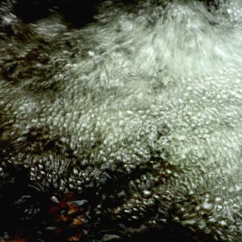Photographie intitulée "Epanouissement Aqua…" par Philippe Berthier, Œuvre d'art originale, Photographie numérique