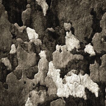 Photography titled "Marqueterie........" by Philippe Berthier, Original Artwork, Digital Photography