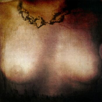 Photography titled "ORNEMENT" by Philippe Berthier, Original Artwork, Digital Photography