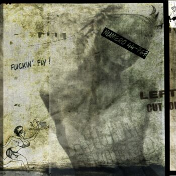 Photography titled "Fuckin Fly..." by Philippe Berthier, Original Artwork, Manipulated Photography