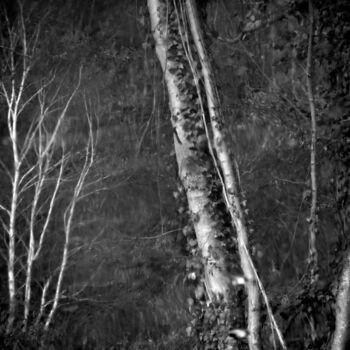 Photographie intitulée "le pays des fées..." par Philippe Berthier, Œuvre d'art originale, Photographie numérique