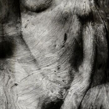 Photography titled "Féminin" by Philippe Berthier, Original Artwork, Digital Photography