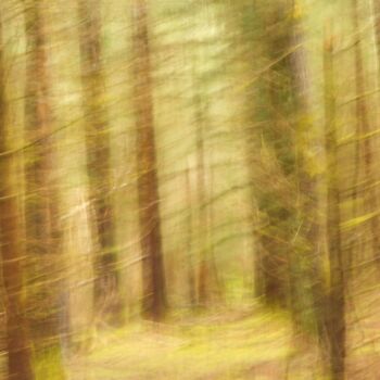 Photographie intitulée "au fond des bois...." par Philippe Berthier, Œuvre d'art originale, Photographie numérique