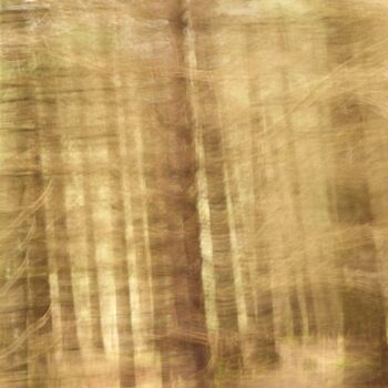 Photography titled "Tremblement........…" by Philippe Berthier, Original Artwork, Digital Photography
